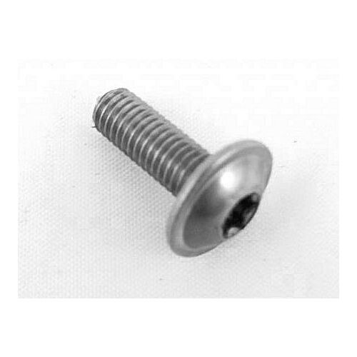 BMW Flat mushroom-head screw, M5X16-A2-80 | 06327651212