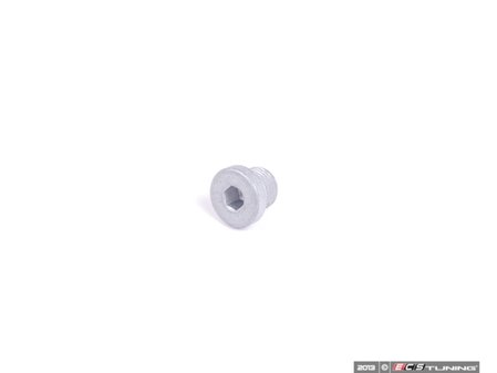 BMW Cam Plug Screw | 07119904393