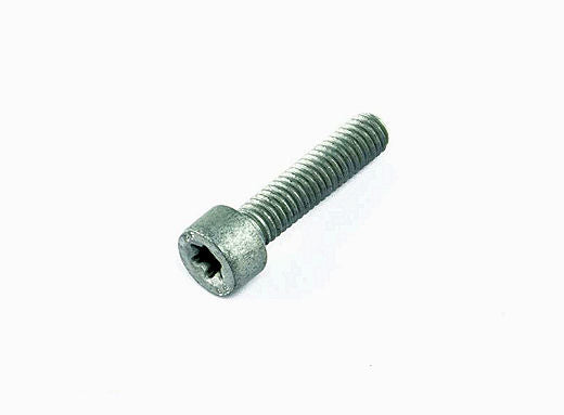 BMW ISA screw, M6X25-8.8-ZNS3 | 07129903807