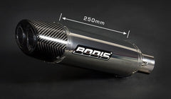 Bodis OVAL Q1, Slip-On, Stainless Steel for KAWASAKI NINJA ZX-6R (2005-2006) | KZX6R-011