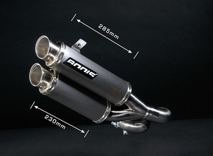 Bodis GPX2-S, Slip-On, Stainless Steel Brushed for YAMAHA FZ1 (2006-2016) | YFZ1-009