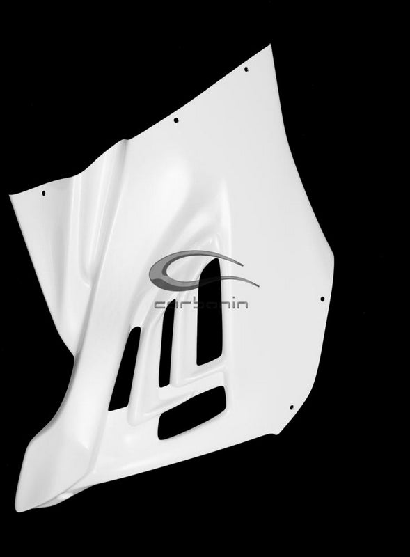Carbonin Right Side Panel For BMW S 1000 RR | B4232AF