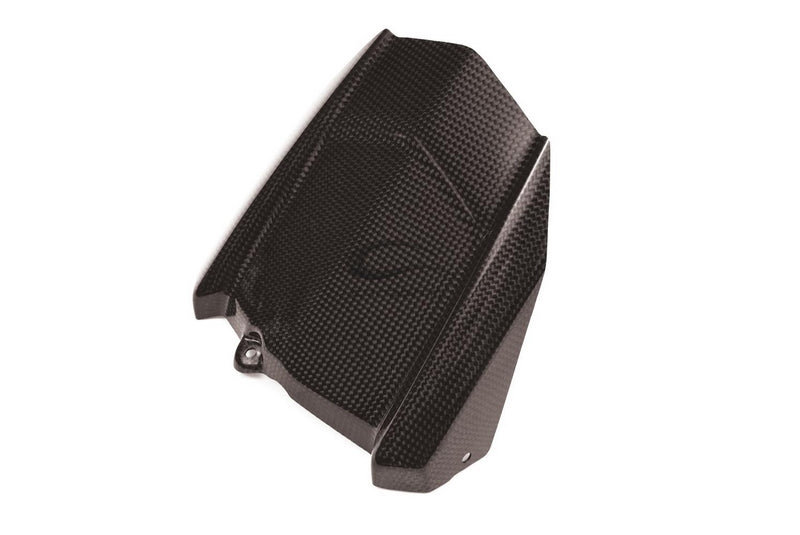 Carbonin Rear Mudguard For Yamaha MT-09 | CY15020