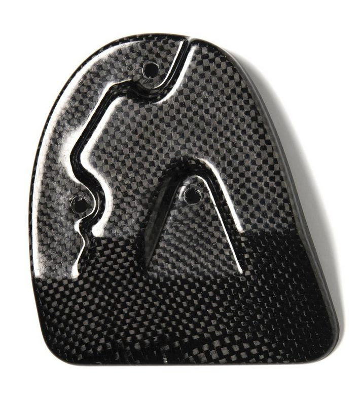 Carbonin Engine Protector For Yamaha YZF R1 | CY5047