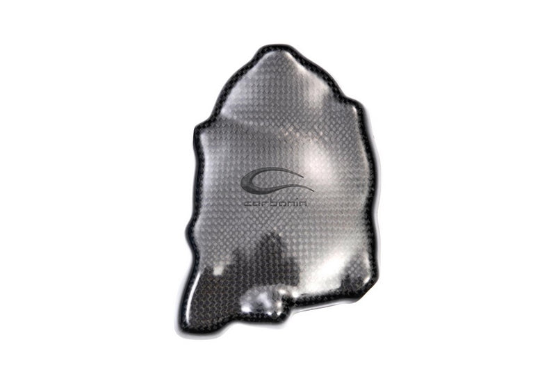 Carbonin Pick Up For Yamaha YZF R6 | CY7045