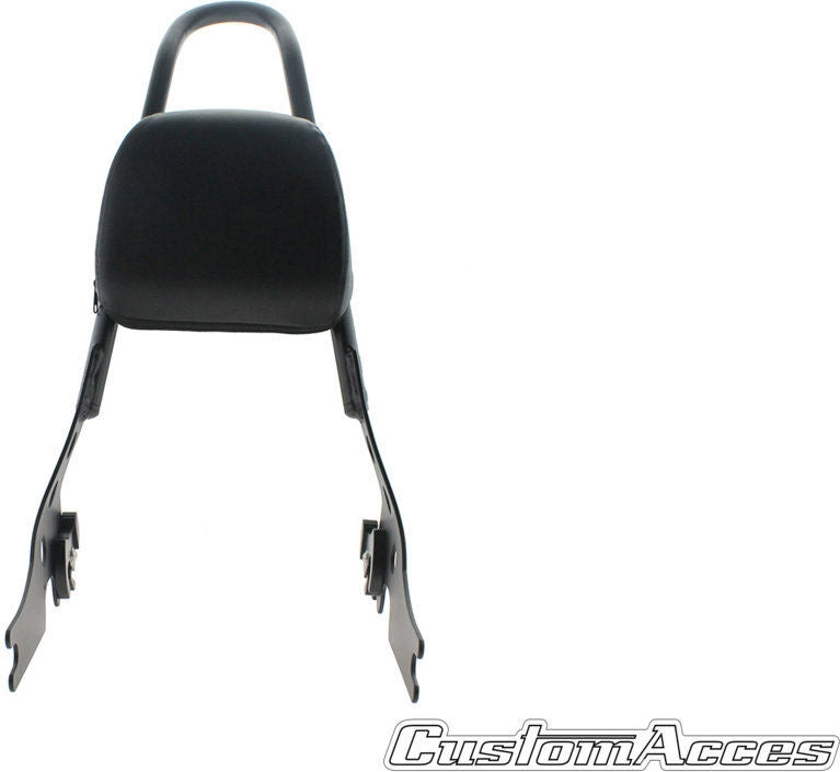 Custom Acces Sissybar Speed Model, Black | RQM001N