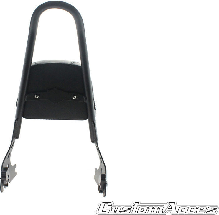 Custom Acces Sissybar Speed Model, Black | RQM001N