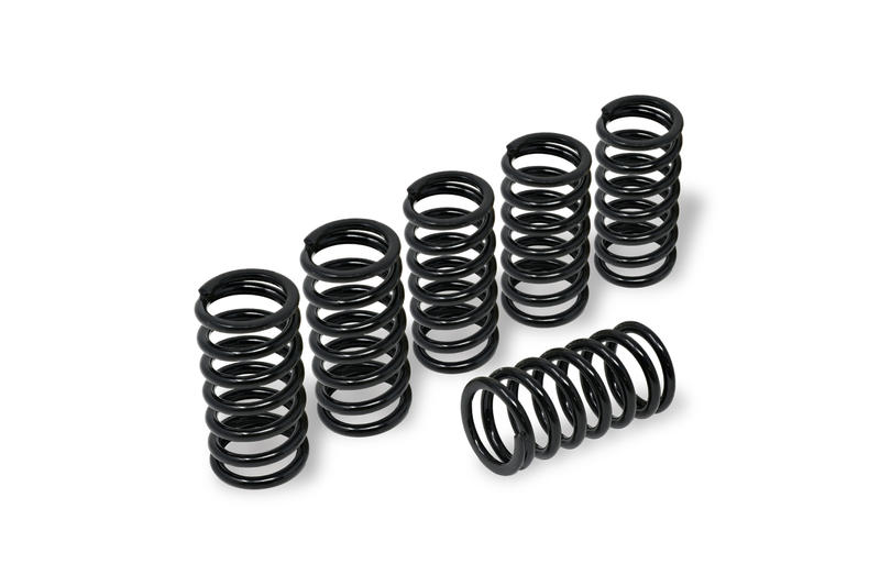 Clutch springs H45 - BMW