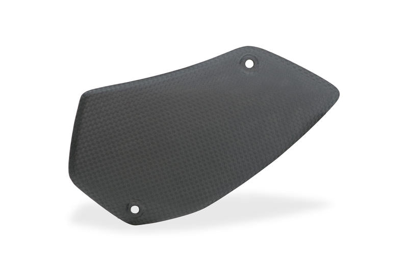 Swingarm side guard, Matt