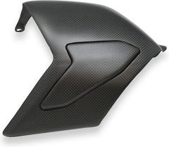CNC Racing Swingarm cover Ducati Panigale V4 - Matt Carbon, Matt Carbon | ZA864Y