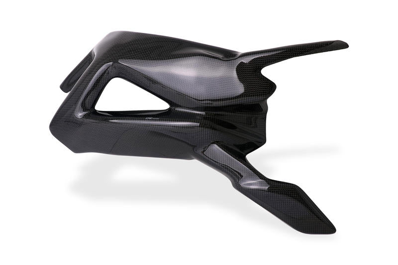 Swingarm protector, Glossy