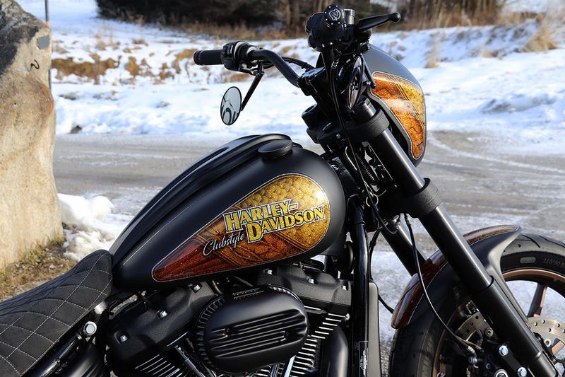 Cult-Werk HARLEY LOW RIDER S - DASH COVER (FROM 2018) | HD-BRO121