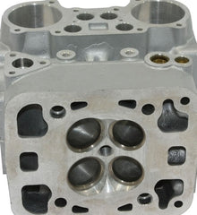 Ducati Genuine CYLINDER HEAD | 30120601A