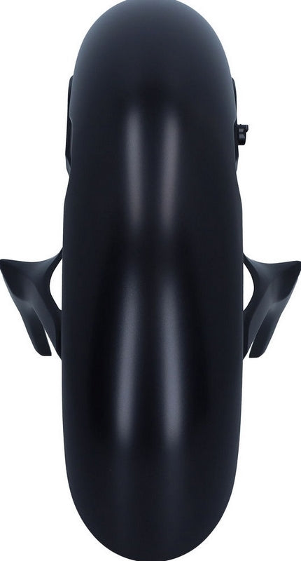 Ducati Genuine FRONT MUDGUARD | 56410291AF