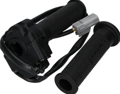 Ducati Genuine THROTTLE CONTROL | 66020141A