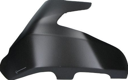 Ducati Ducati Supersport / M1200 Carbon Swingarm Guard | 96980891A