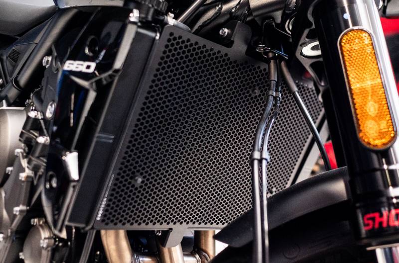 Radiator Guard