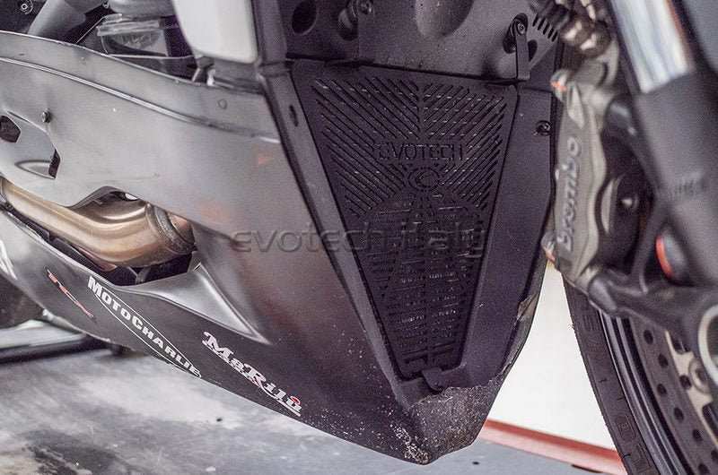 Lower Radiator Guard