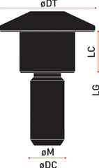 Special Ergal Screw Vs006