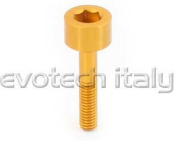 Special Ergal Screw Vs021