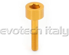 Special Ergal Screw Vs021