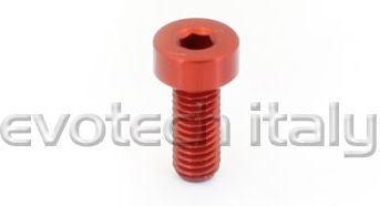 Special Ergal Screw Vs024