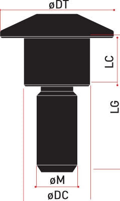 Special Ergal Screw Vs026