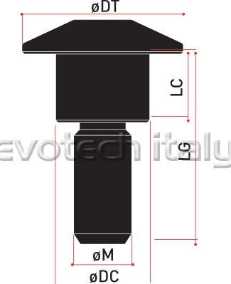 Special Ergal Screw Vs053