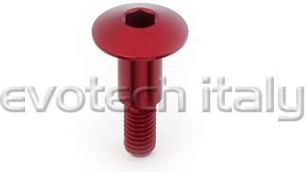 Special Ergal Screw Vs069