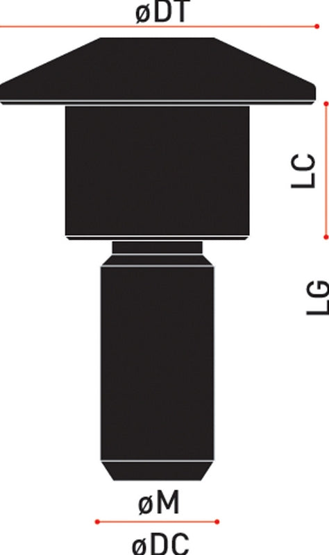 Special Ergal Screw Vs099