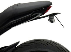 Evotech Performance Triumph, EP Triumph Trident Tail Tidy (2021+) | PRN015449-015578