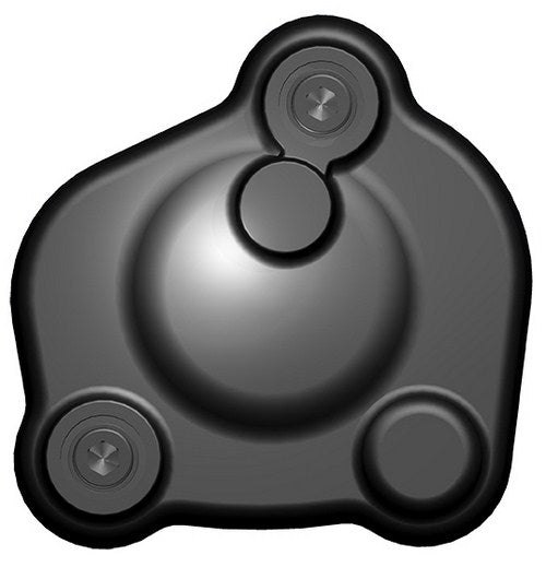GBRacing Crank Cover | EC-FZ8-2010-4-GBR