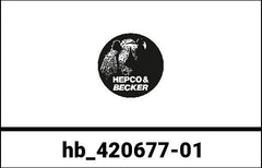 Hepco & Becker Kardan Protection for BMW R 1200 RS from 2015 | 420677-01