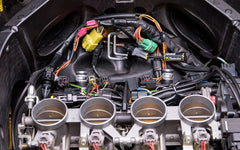 HEALTECH PS Eliminator (PSE) | PSE-02