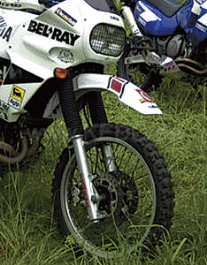 kedo_22595