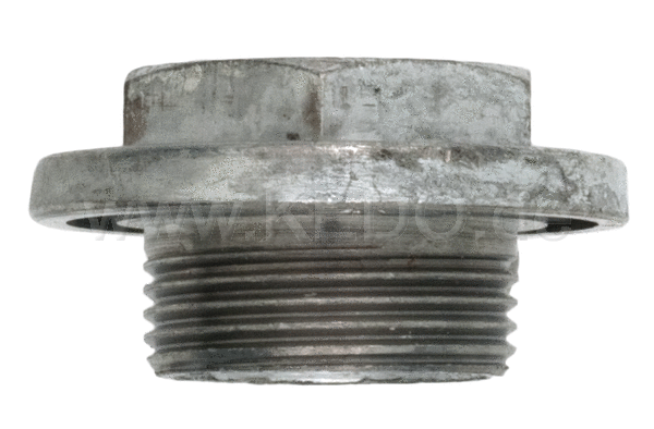 Kedo Drain Plug Carburettor Float Bowl (Wrench Size 17mm, please check year of production, alternatively see Item 28476 | 27923