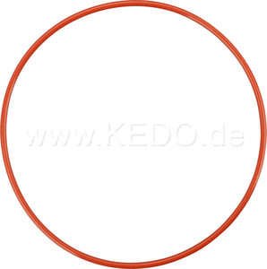Kedo O-ring, behind Water Pump | 29229