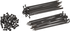 Kedo Rear Wheel Spoke Set Stainless Steel, black burnished (18 "), including nipples. | 30501B