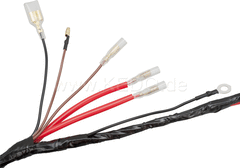 Kedo Replica wiring harness PLUS, crimped internal connections, including mating connectors set (Allows original connection on vehicle side if modified). | 40076-18