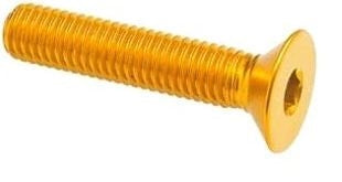 lit_005M6025ORO