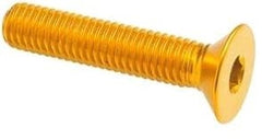 lit_005M6065ORO