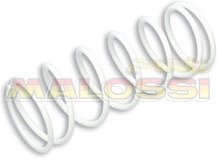 MALOSSI Heavy-duty Compression Spring Honda FORZA 300 | 2913316.W0