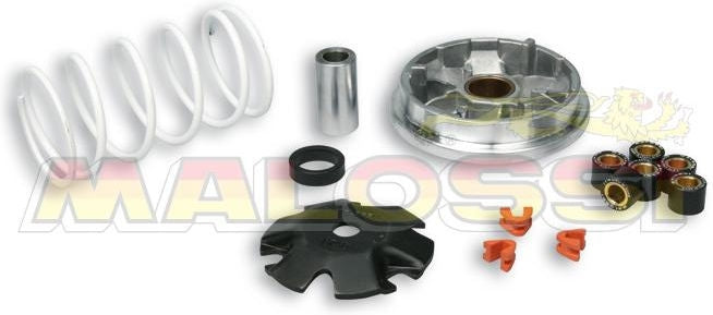 MALOSSI Multivar Variator Peugeot Ludix/Jet Force 50 | 51 8752T
