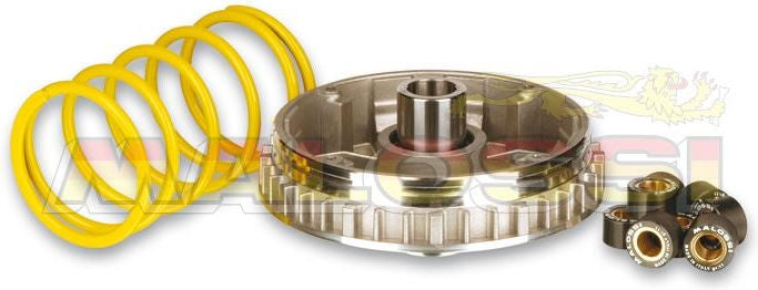 MALOSSI Multivar Variator Yamaha X-Max 250 | 5111225T