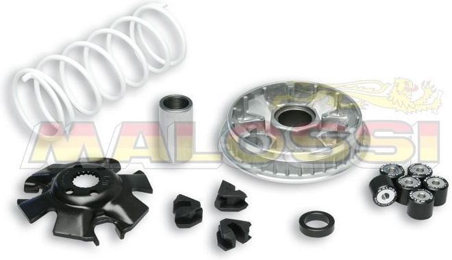 MALOSSI Multivar Variator Suzuki Burgman 125 | 5111324T