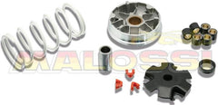 MALOSSI Multivar Variator Kymco Agility 50 | 5113790T