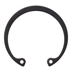 MCS Retaining Ring, Generator Bearing