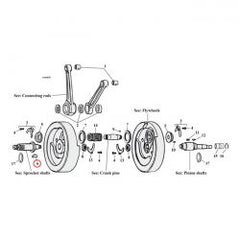 mcs_517960