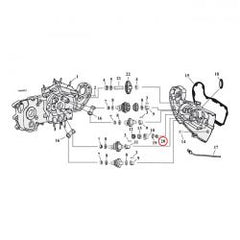 MCS Nut, Pinion Shaft Gear