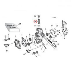 MCS Spring, Check Valve